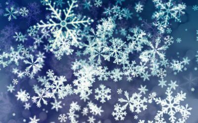 MESA – December 19, 2025 – Newsletter